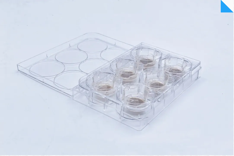 1756800352612907.png image.png